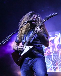 © Andrew Mather Photography