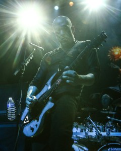 © Andrew Mather Photography