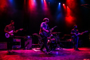 © Andrew Mather Photography