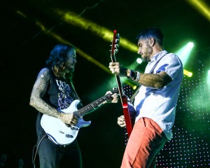 © Andrew Mather Photography