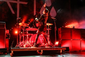 © Andrew Mather Photography