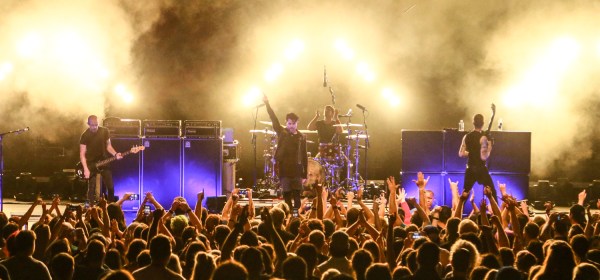 © Andrew Mather Photography