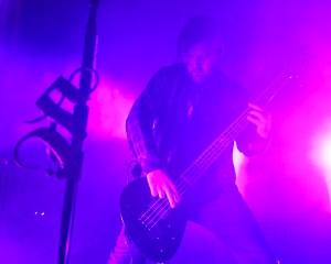 © Andrew Mather Photography