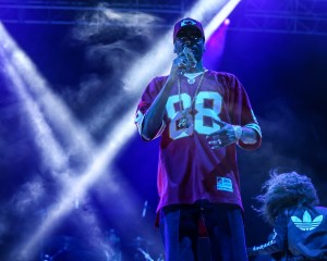 © Andrew Mather Photography