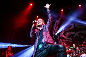 © Andrew Mather Photography