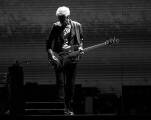 © Andrew Mather Photography