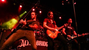 © Andrew Mather Photography