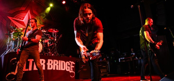 © Andrew Mather Photography