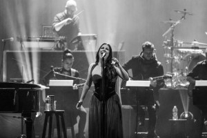 © Andrew Mather Photography