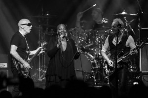 © Andrew Mather Photography