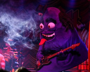 © Andrew Mather Photography, Kansas City Photographer, Concert Photography