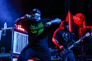 © Andrew Mather Photography