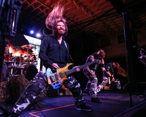 © Andrew Mather Photography