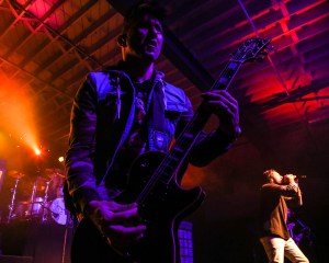 © Andrew Mather Photography