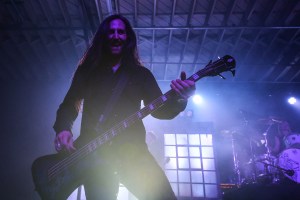 © Andrew Mather Photography