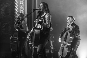 © Andrew Mather Photography