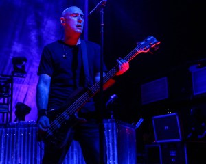 © Andrew Mather Photography