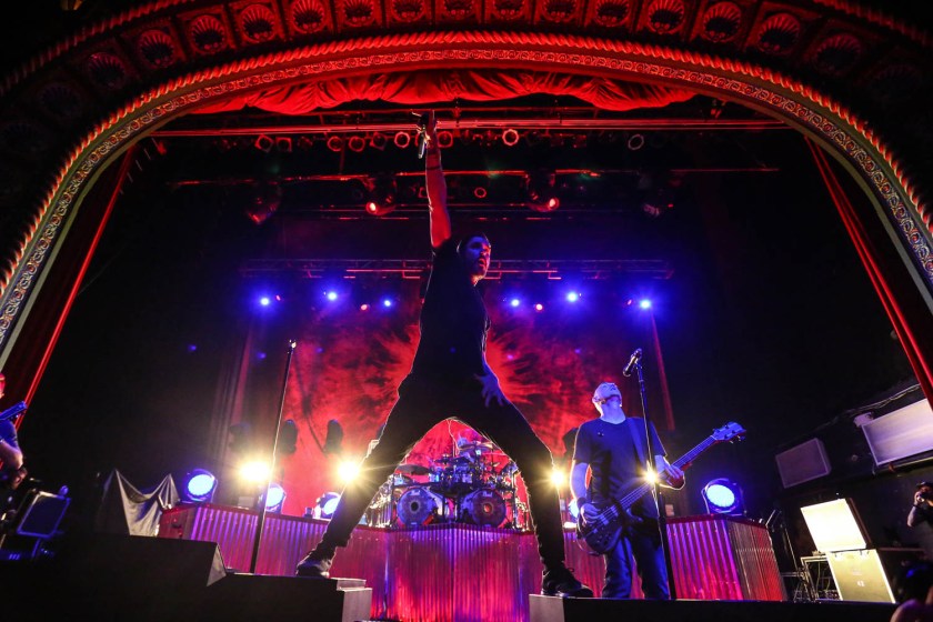 © Andrew Mather Photography