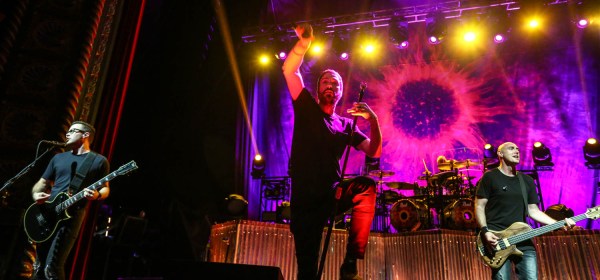 © Andrew Mather Photography