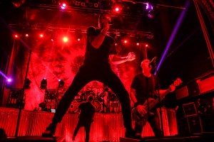 © Andrew Mather Photography