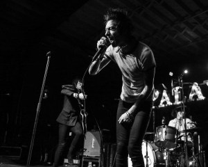 © Andrew Mather Photography