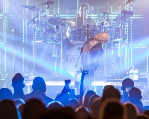 © Andrew Mather Photography