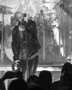 © Andrew Mather Photography