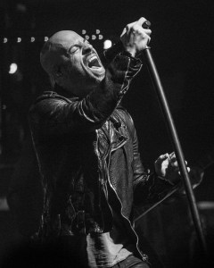 © Andrew Mather Photography