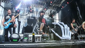 © Andrew Mather Photography