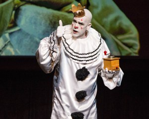 © Andrew Mather Photography