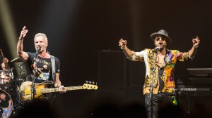 © Andrew Mather Photography