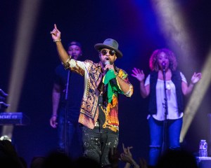 © Andrew Mather Photography