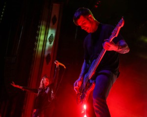 © Andrew Mather Photography