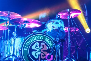 © Andrew Mather Photography