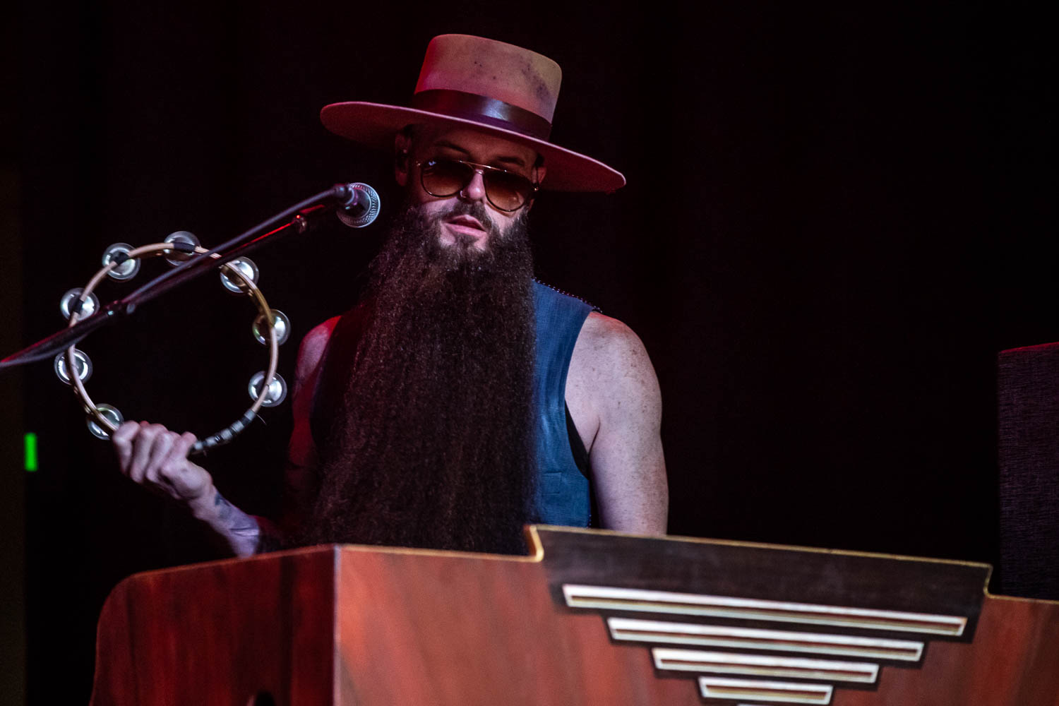 Todd Ögren, touring keyboardist of Rival Sons