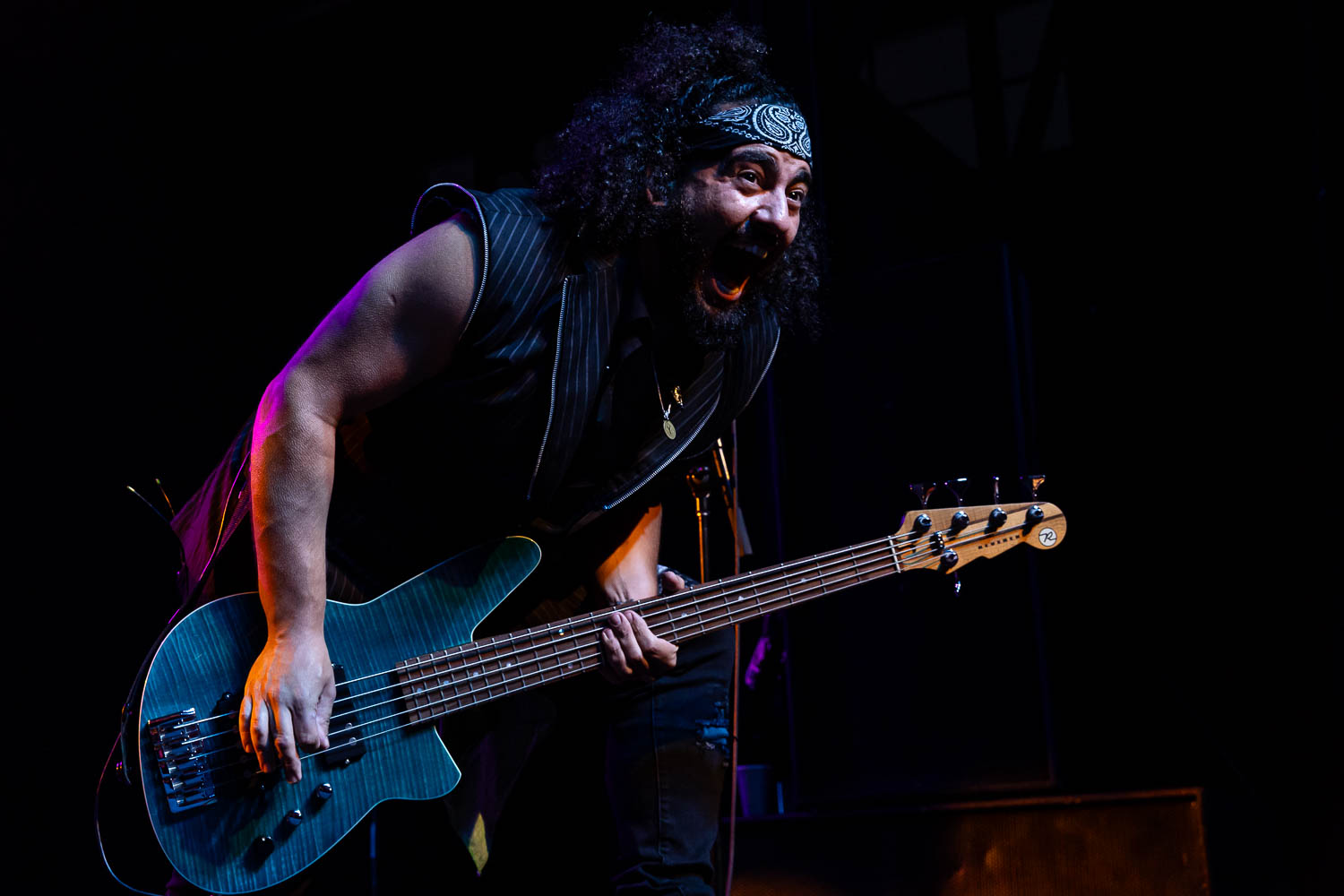 Gill Alexandre, bass guitarist of Gogol Bordello